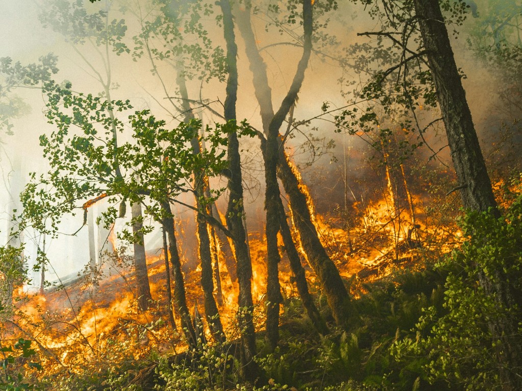 «Желтый» уровень погодной опасности продлили в Подмосковье