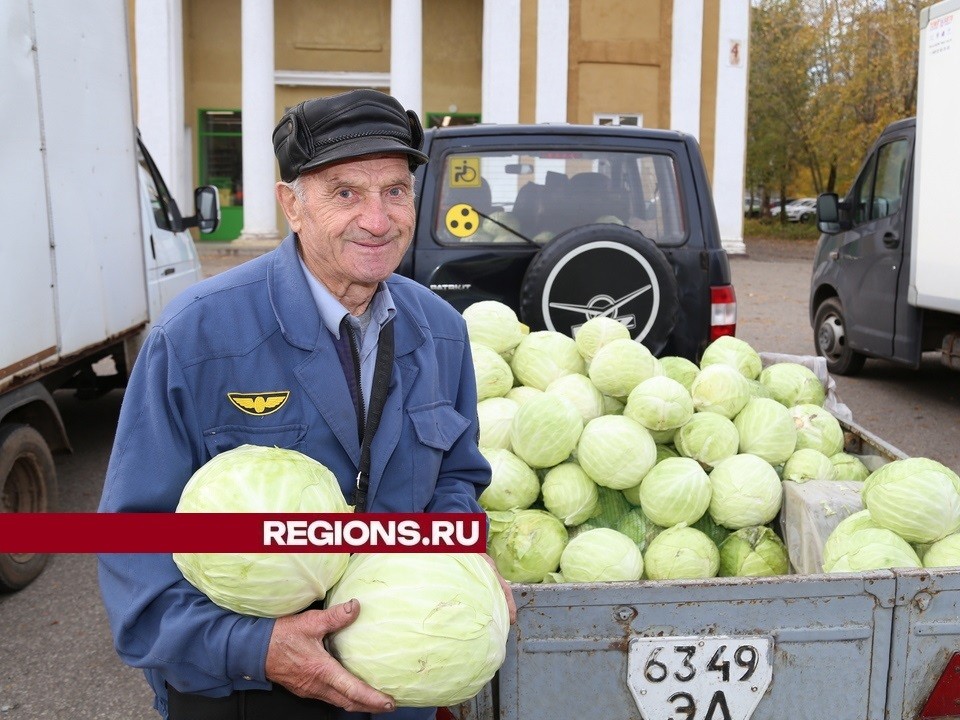 Сезон «Даров Подмосковья» в Луховицах продолжается, жители могут запастись овощами на зиму