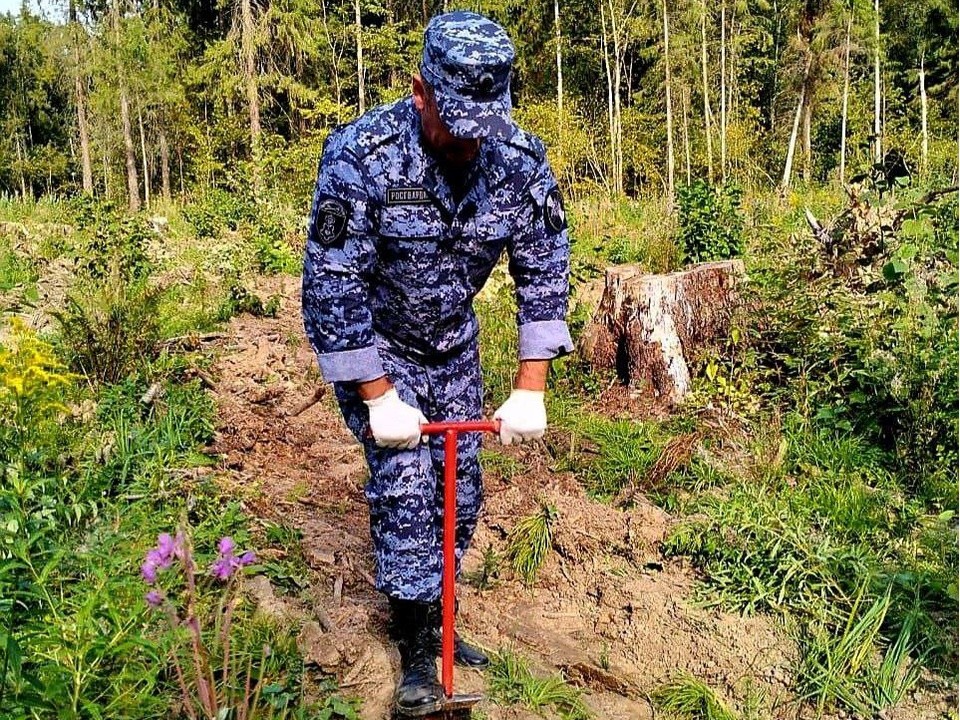 В деревне Брехово химкинские росгвардейцы посадили саженцы сосны и ели