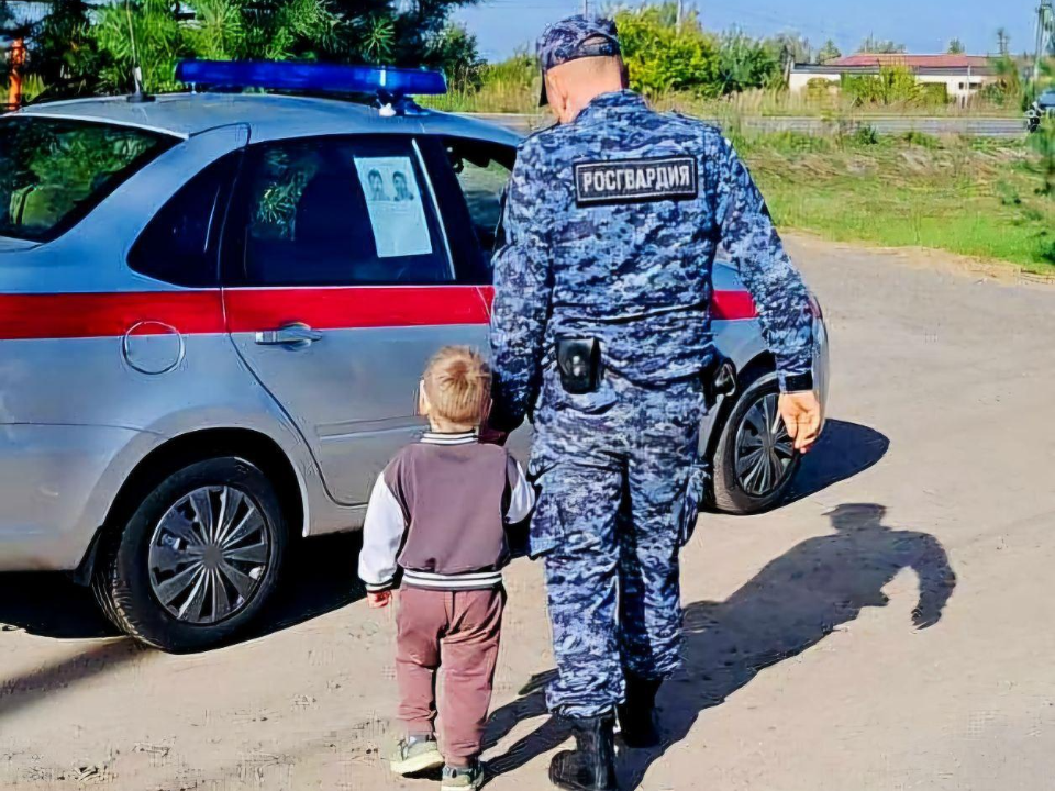 В Коломне нашли трехлетнего мальчика, потерявшегося в парке Мира