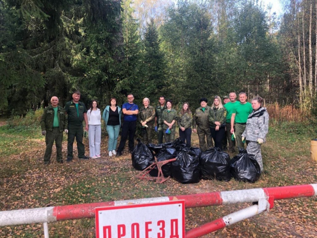 Ограничение на посещение лесов продлено до 1 октября в Талдомском округе