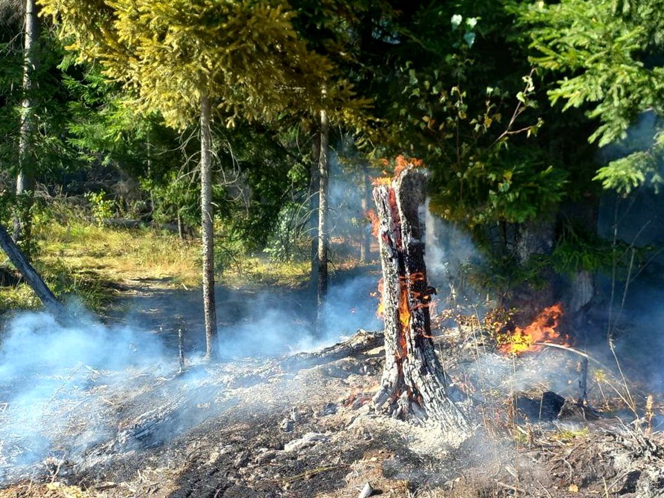 Поджигатели леса, по чьей вине случился пожар под Ногинском, обнаружены