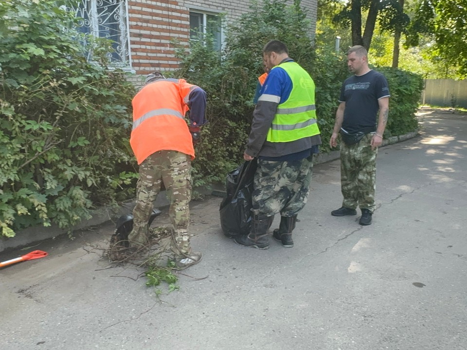 В Подмосковье за лето вручную очистили 16 тыс. дворов и общественных пространств