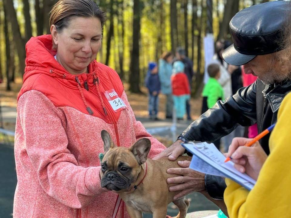 В Сергиевом Посаде выбрали самых красивых щенят в трех номинациях