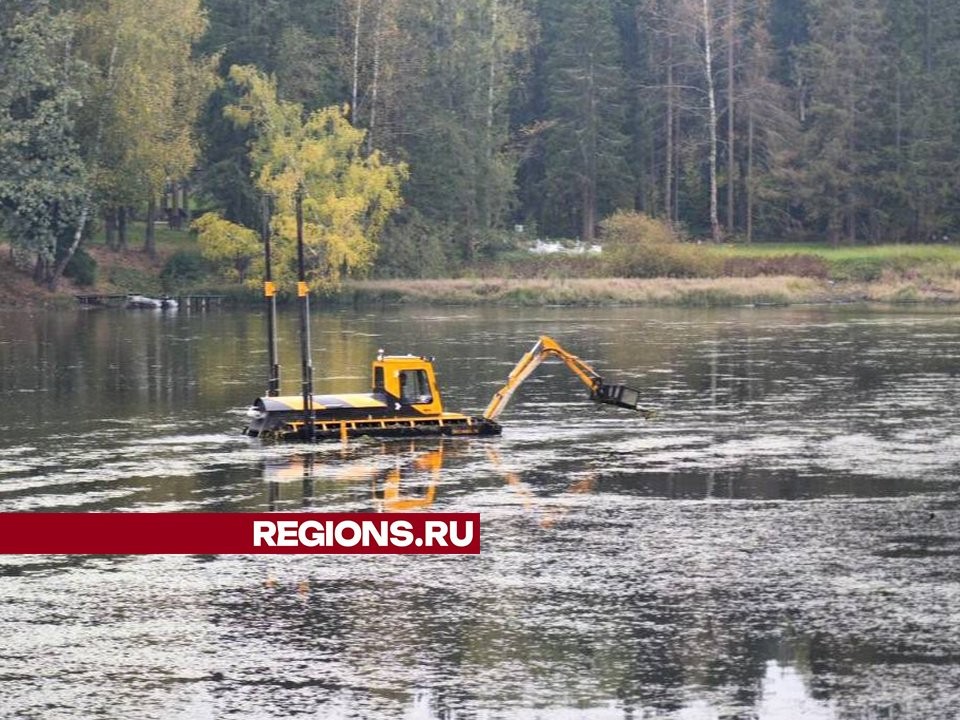 Вблизи лесопарка «Загорское море» уберут валежник и сухостой из прилегающего леса