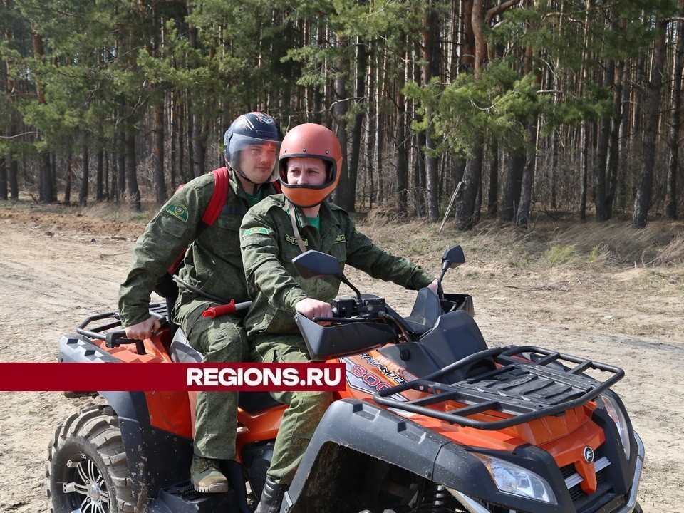 В луховицких лесах ограничение на посещение и въезд транспорта продлено до 12 сентября