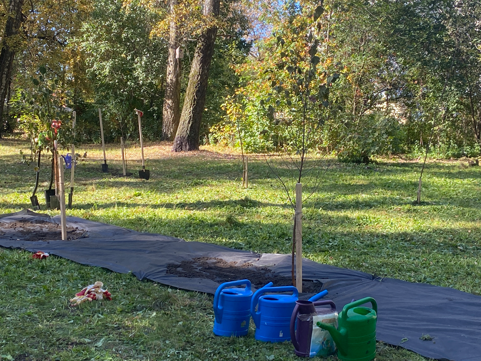 Жители деревни Леониха высадили аллею памяти, посвященную погибшим на войне героям