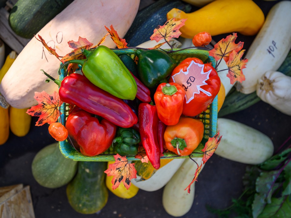 В парке Солнечногорска развернется ярмарка с фермерскими продуктами