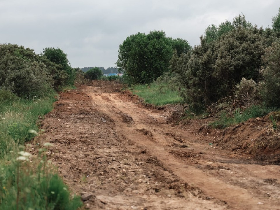 В Дубне водитель иномарки заплатит штраф за незаконную свалку мусора