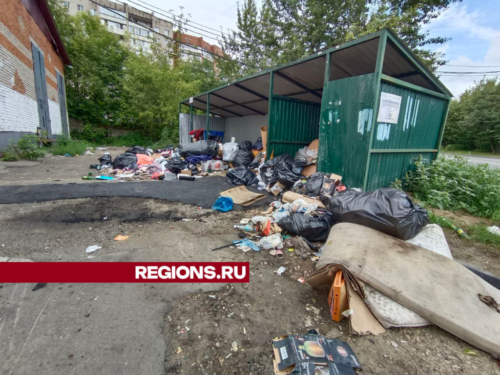 В Дзержинском зафиксировали несанкционированный сброс отходов в контейнеры