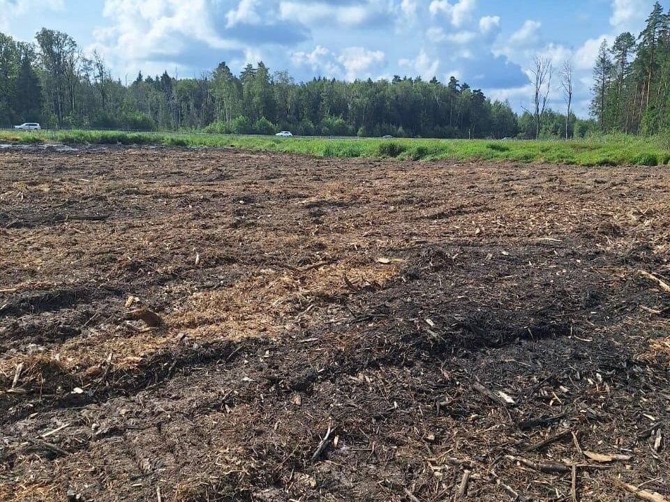 Почву для компенсационного восстановления леса подготовили в Одинцовском округе