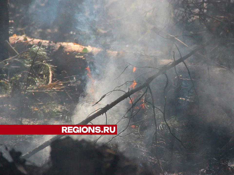 Поджог стал причиной пожара вблизи деревни Фильчаково