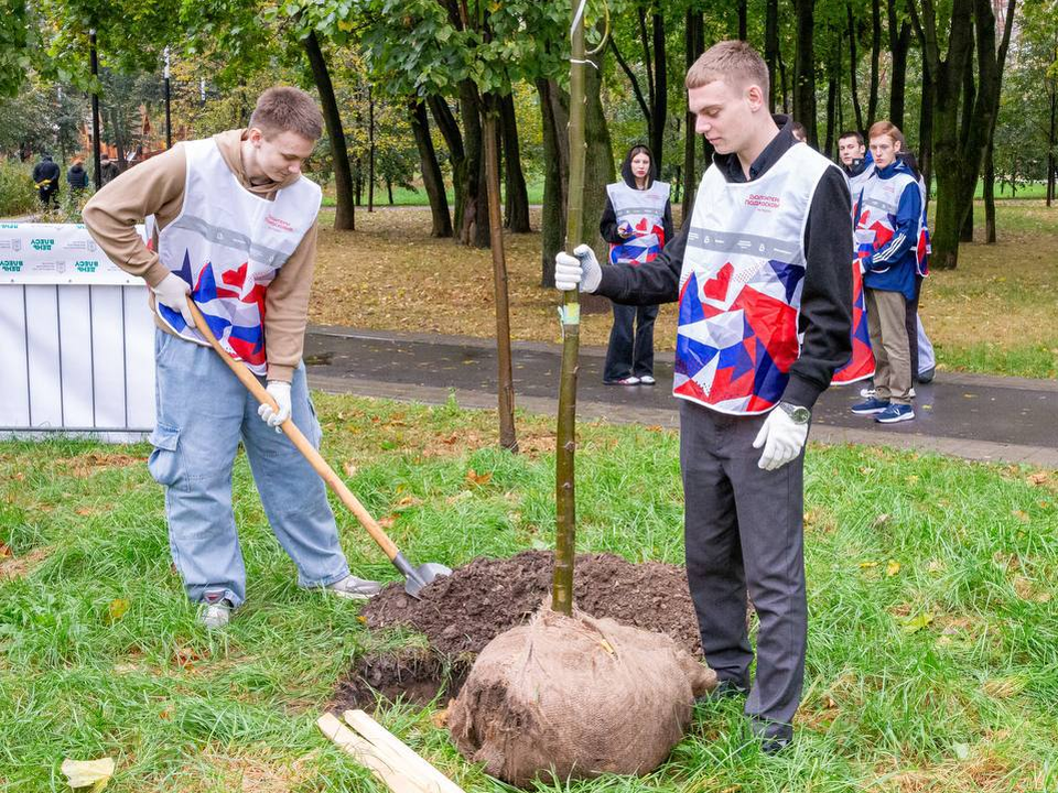 В городском сквере активисты и жители округа высадили более 30 деревьев