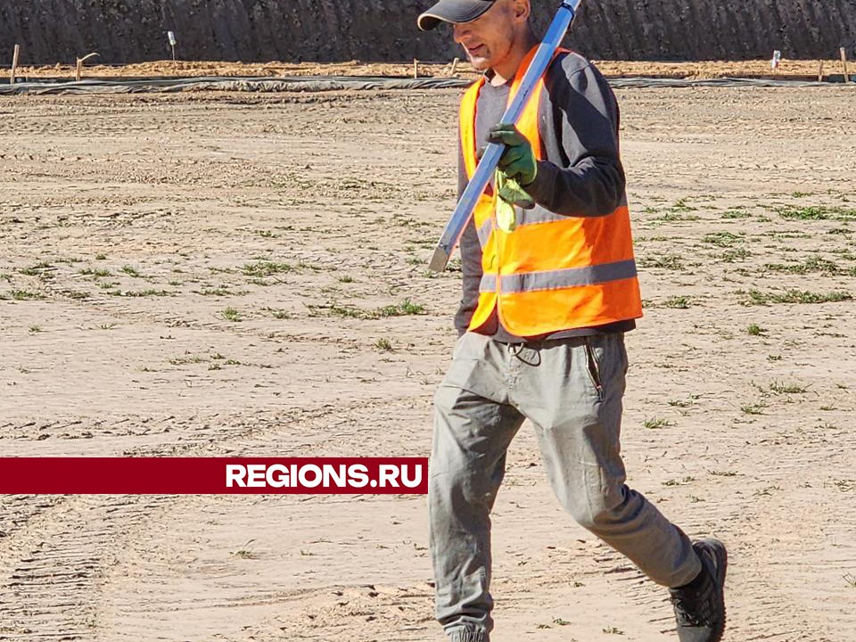 На центральном стадионе Волоколамска заканчивают благоустройство футбольного поля