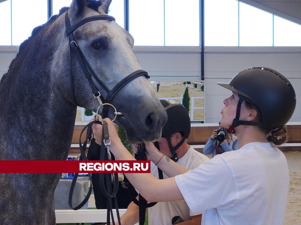 Чемпионат по верховому спорту впервые проходит в Ступинском округе