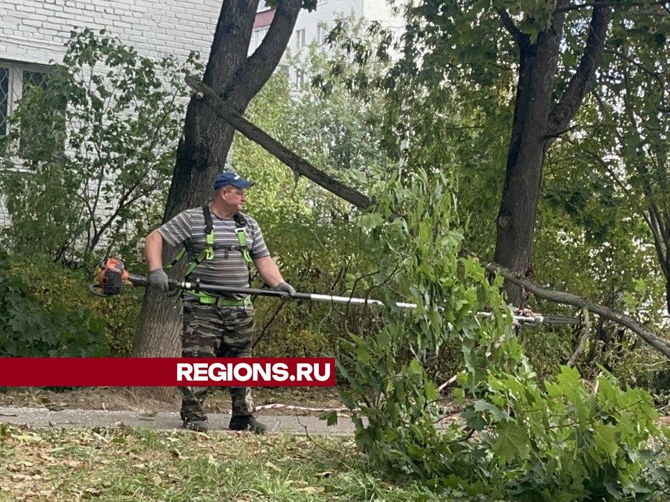 Коммунальщики спилили ветки на улицах Босова и Ленина в Истре