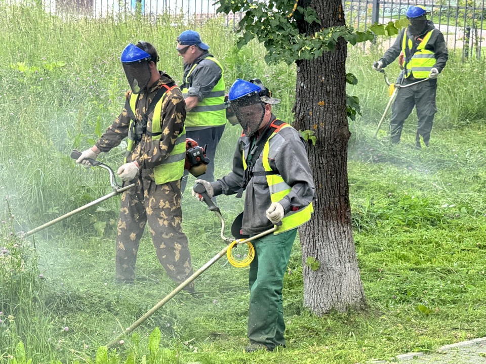 Траву на улице Заводской в Волоколамске скосят по просьбе жителей