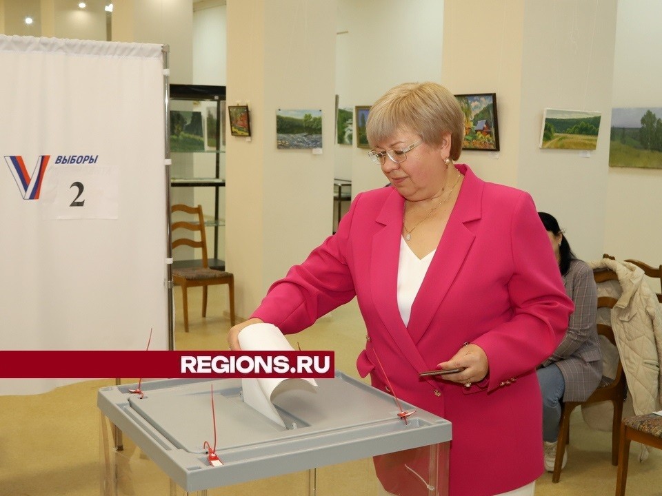 Выборы в Совет депутатов городского округа Луховицы завершились