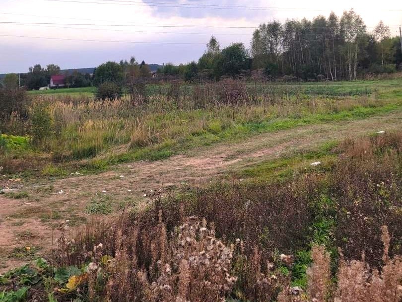 В деревне Кокшино под Рузой по просьбе жителей сделают пешеходную дорожку к остановке