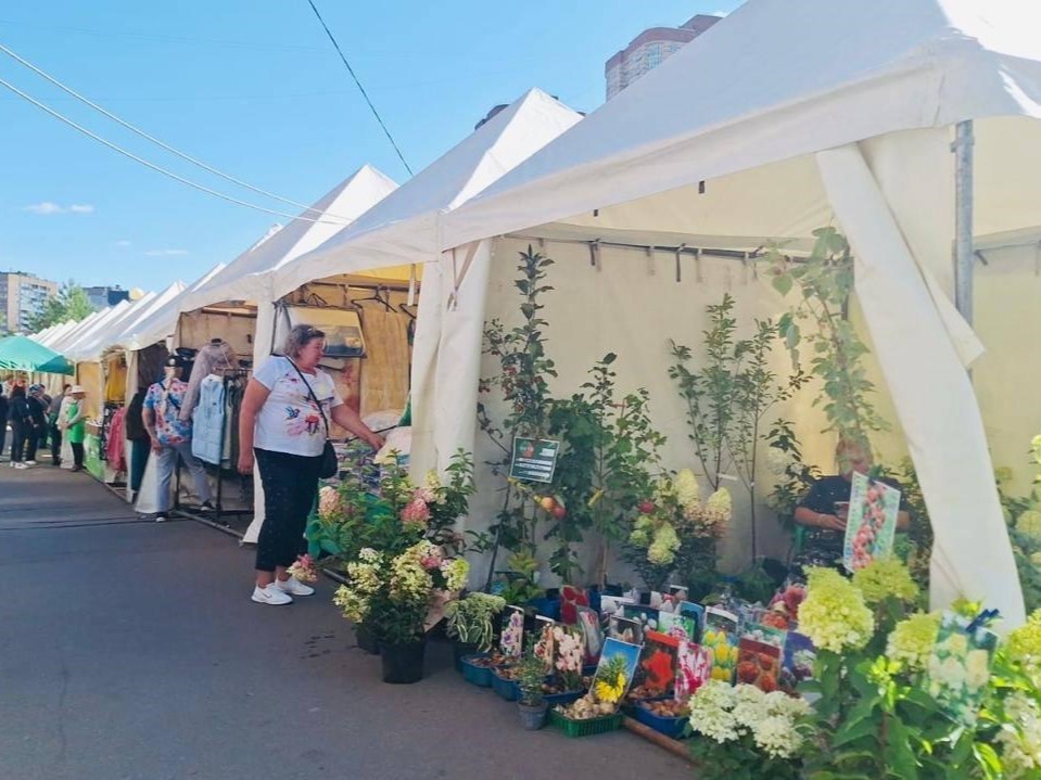 В сентябре в Подмосковье пройдет около 200 ярмарок