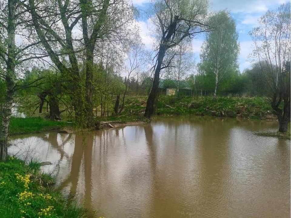 Суд запретил организовывать бизнес в водоохранной зоне реки Дергаевка