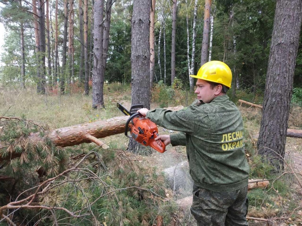 В Егорьевске лесную тропу очистили просьбе жителей