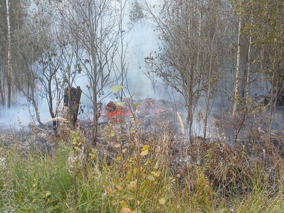 В Подмосковье 12 сентября ожидается четвертый уровень пожарной опасности