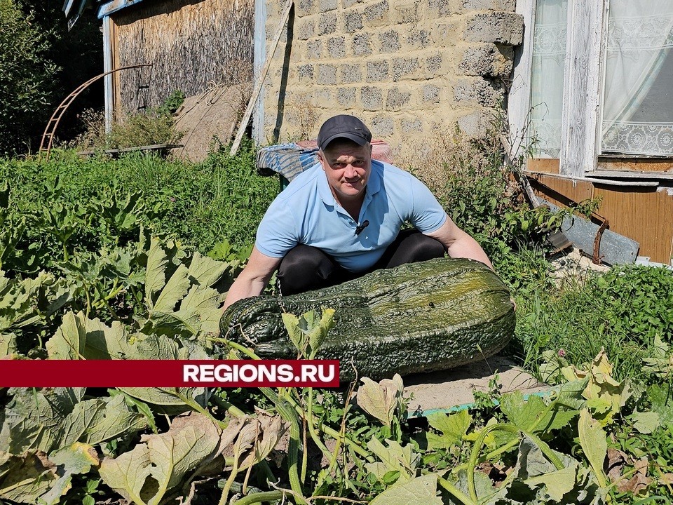 Луховичанин Андрей Гусев с трудом поднимает свой кабачок, который весит почти 50 кг