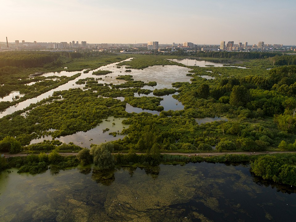 «Марафон ESG» стартовал в Московской области