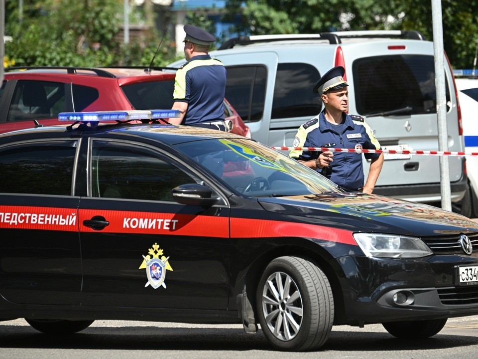 СК возбудил дело по факту наезда таксиста-мигранта на девушку с ребенком