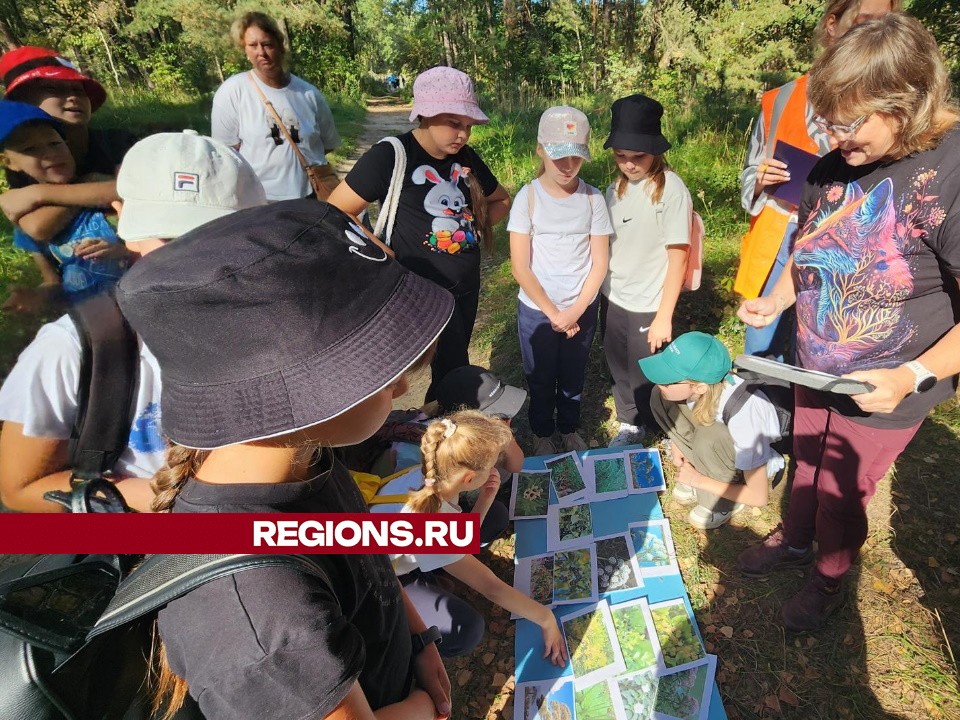 Два километра прошли школьники Протвина, чтобы повторить правила БДД и поведения в лесу