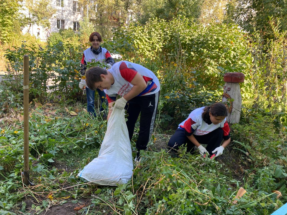 Во дворе Дзержинского стало чище и уютнее после визита местных волонтеров