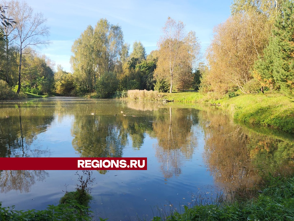 Зону у пруда в селе Введенское рядом со Звенигородом благоустроят в ближайшие месяцы