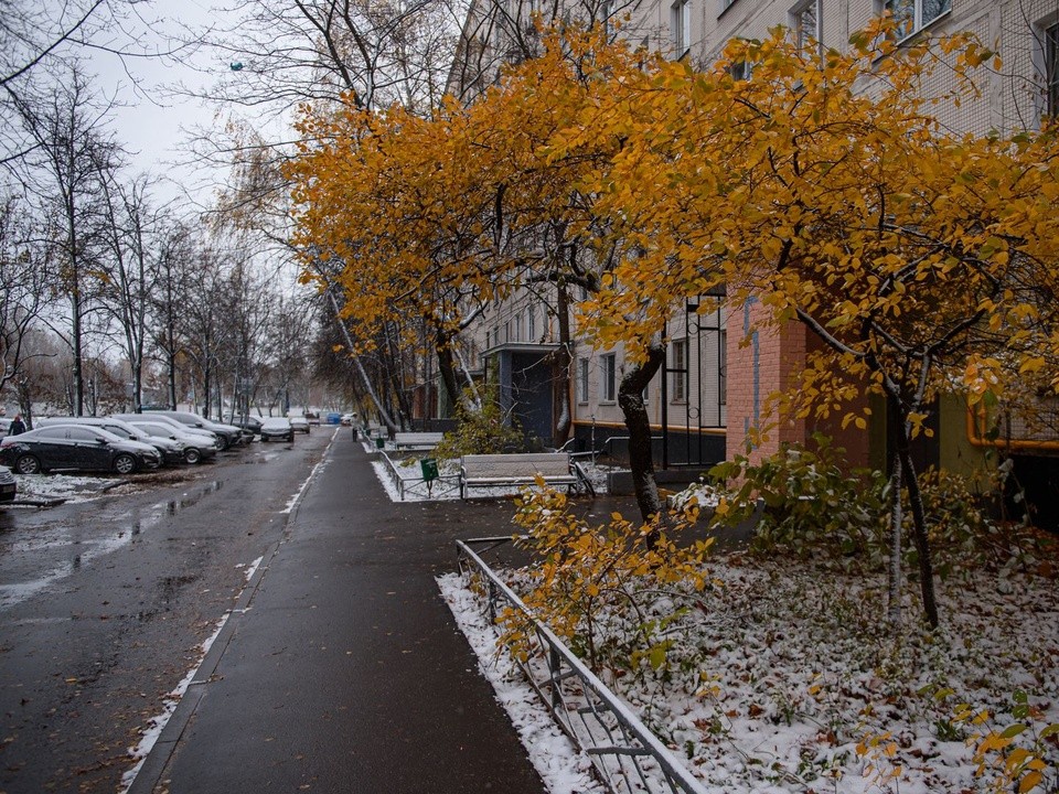 Когда в Реутове выпадет первый снег