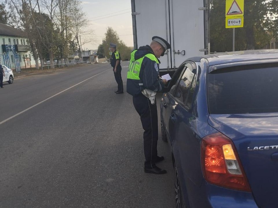 Дорожные полицейские научили водителей из Узуново правильно выбирать детское кресло