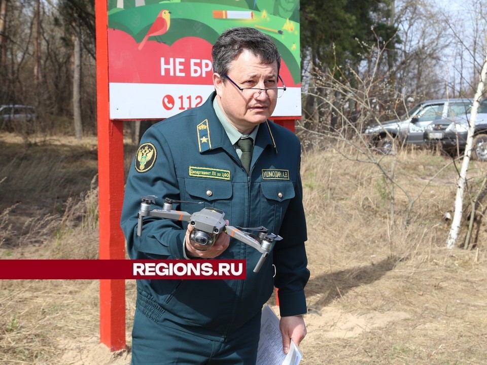 В луховицких лесах разведение огня и въезд транспорта остаются под запретом