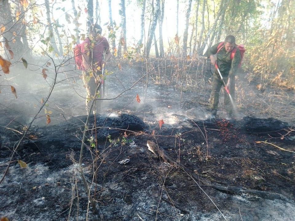 Еще один лесной пожар вспыхнул на территории округа