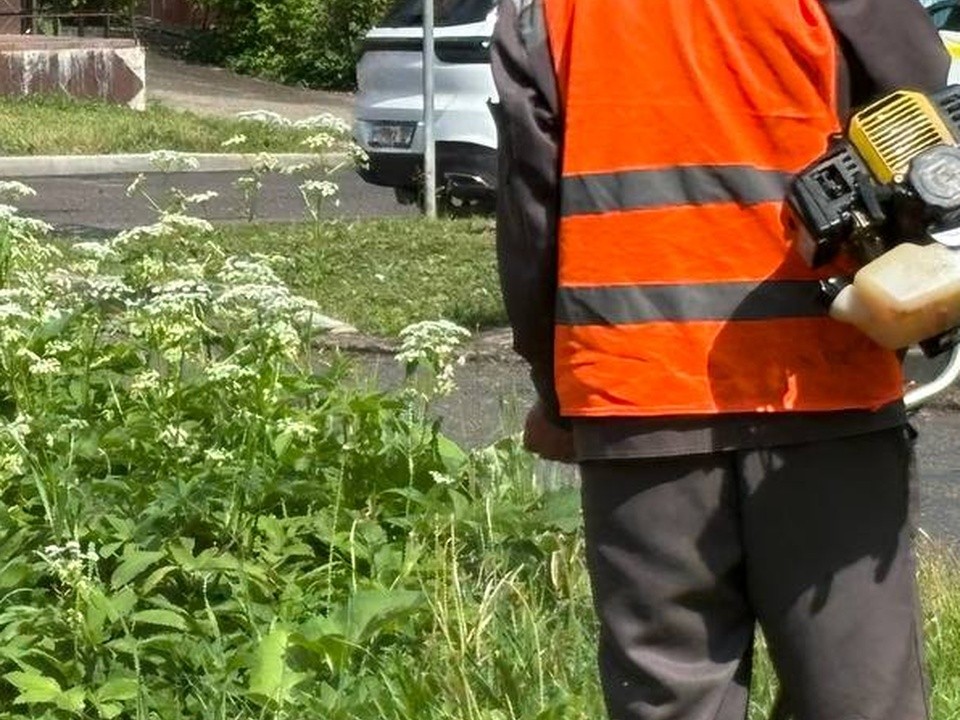 Возле стелы Воинской доблести во Спассе скосят траву