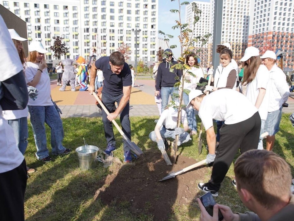 Жителей Люберец приглашают посадить деревья и кустарники 27 и 28 сентября