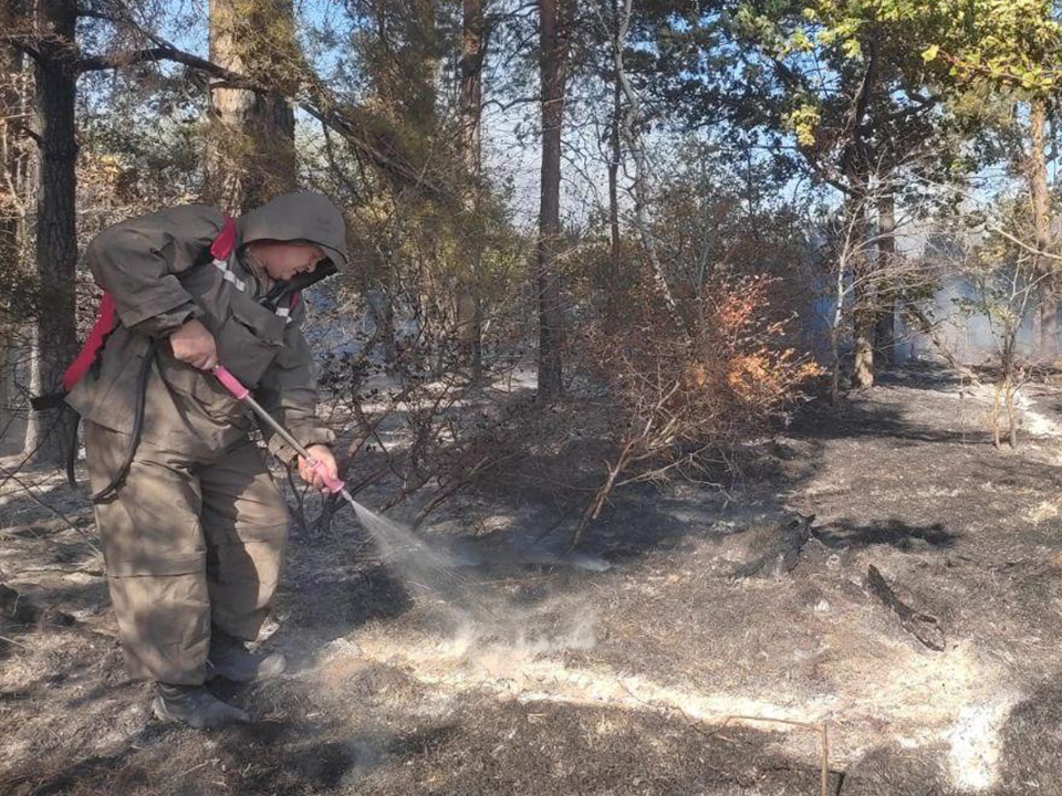 Лесной пожар ликвидировали в километре от села Кременье