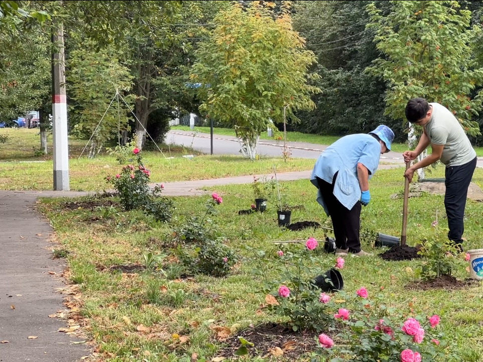 «День в лесу. Сохраним лес вместе»: как принять участие в областной экоакции в Истре