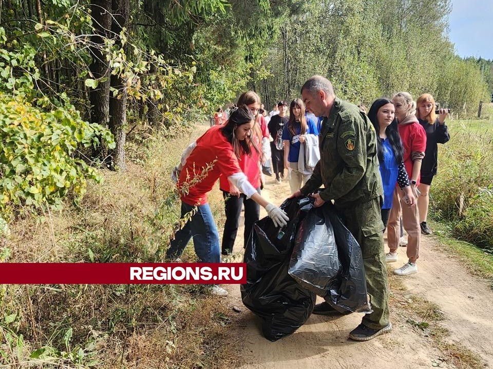 Гектар леса очистили от мусора на экоакции в Волоколамске