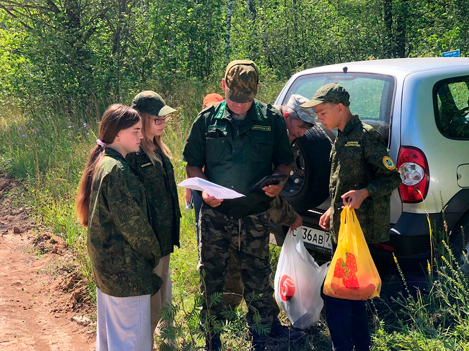 Гусениц непарного шелкопряда из Зарайска исследуют для борьбы с ним