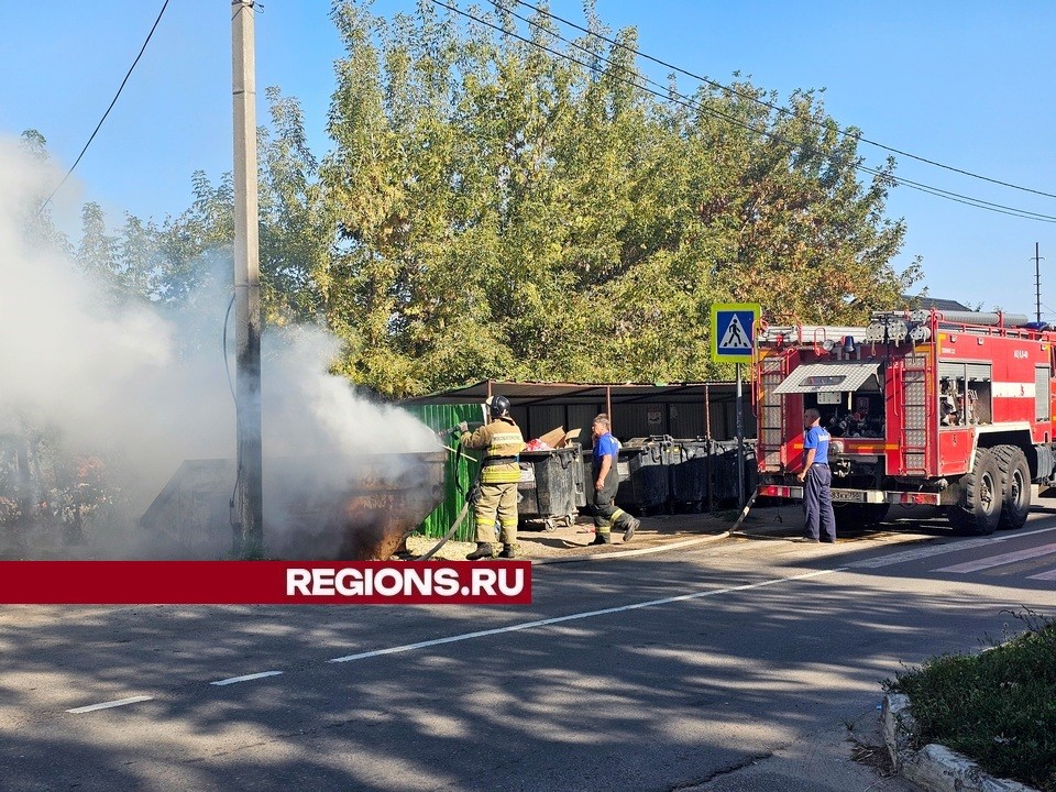 В городе Луховицы пожарные оперативно потушили контейнерную площадку