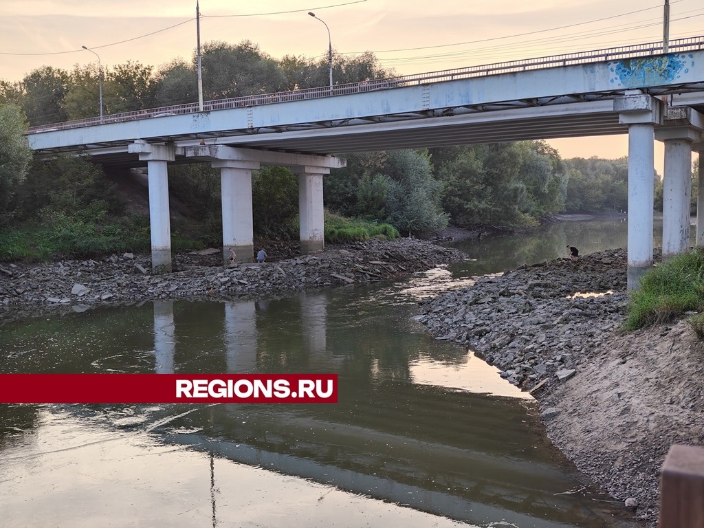 Стали известны подробности внезапного обмеления реки Нары в Серпухове