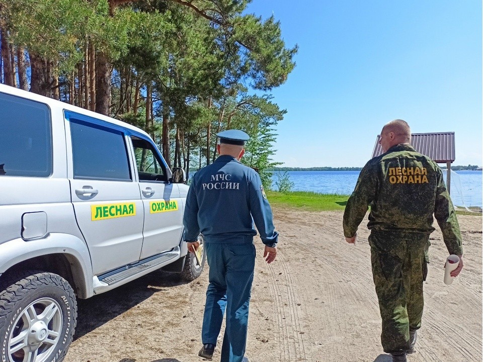 Звенигородцам до 1 октября ограничили пребывание в лесу