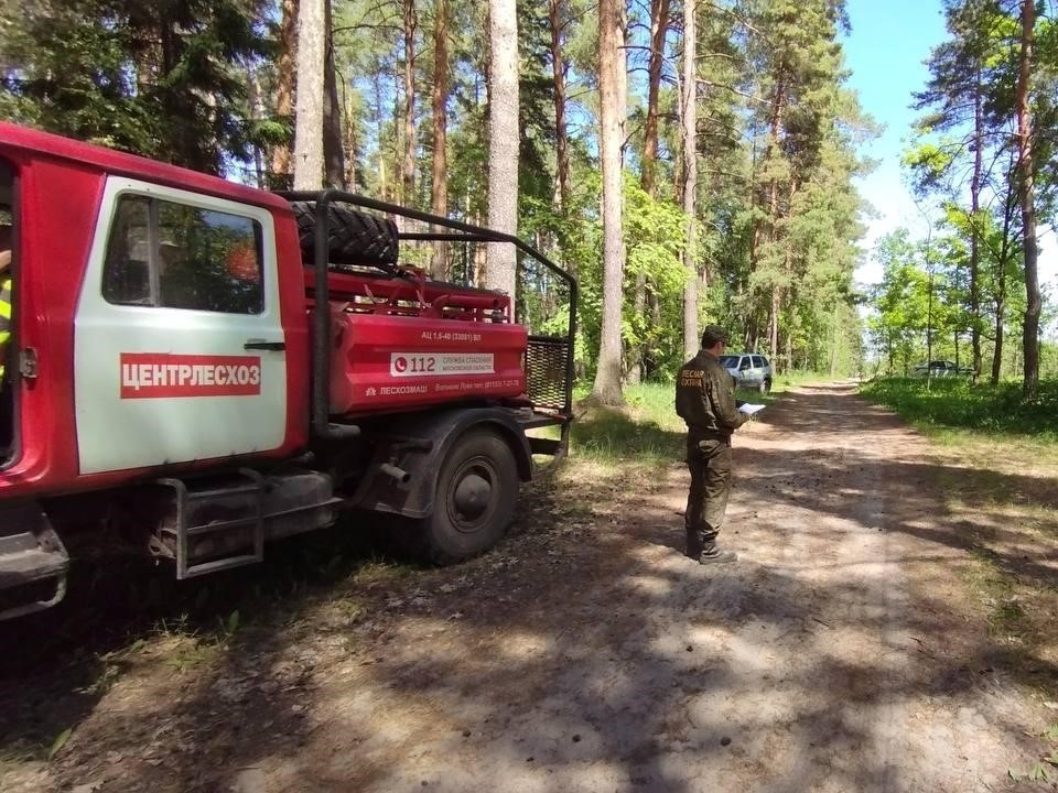 Вся территория гослесфонда Подмосковья ограничена для посещения