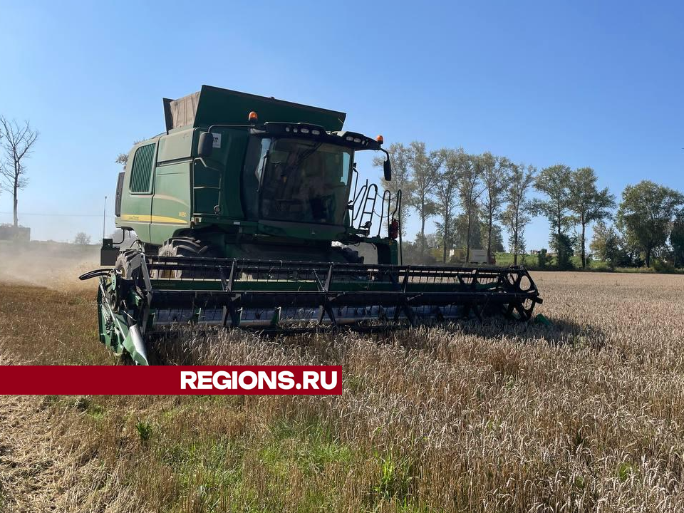 Сельхозпредприятия Дмитровского округа завершают уборку яровой пшеницы с 400 гектаров