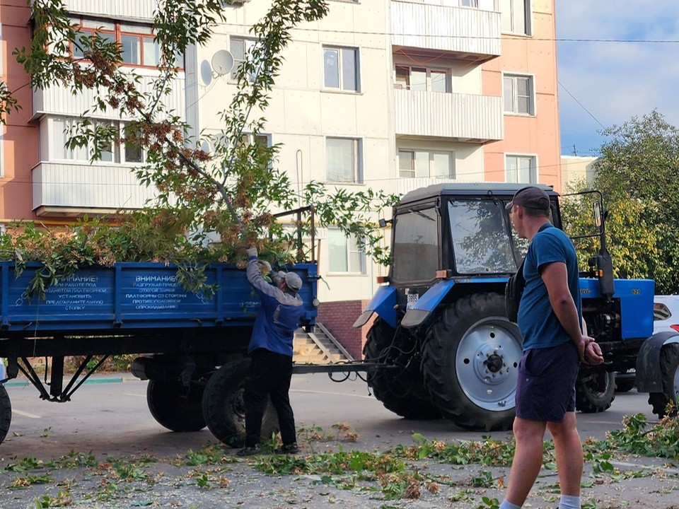 На Москворецкой улице в Бронницах ликвидировали сухостой