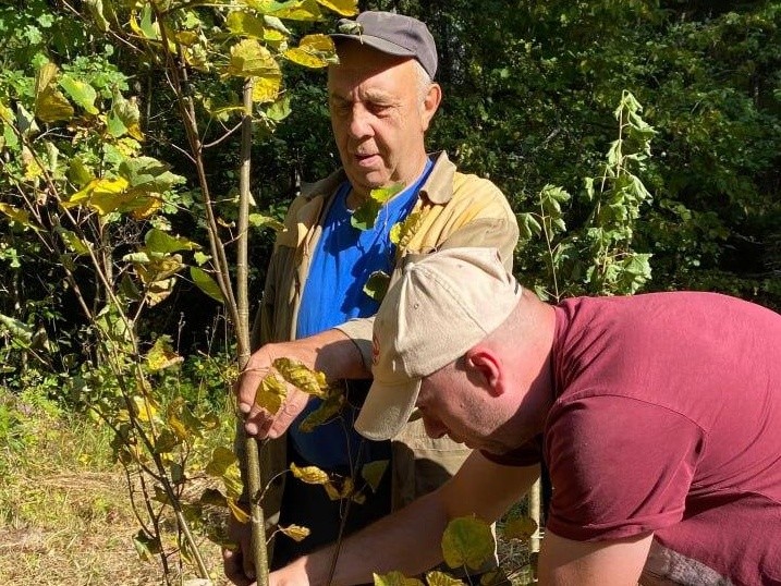 Лесничие и жители округа посадили деревья у памятника павшим воинам под Можайском